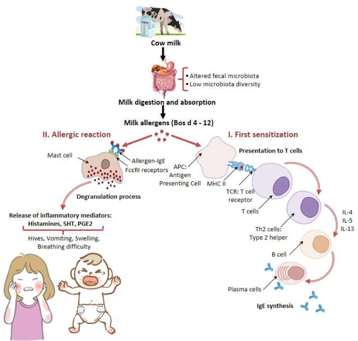 saiken, M.D. 💜🩺 doctor irl & vtuber tweet media