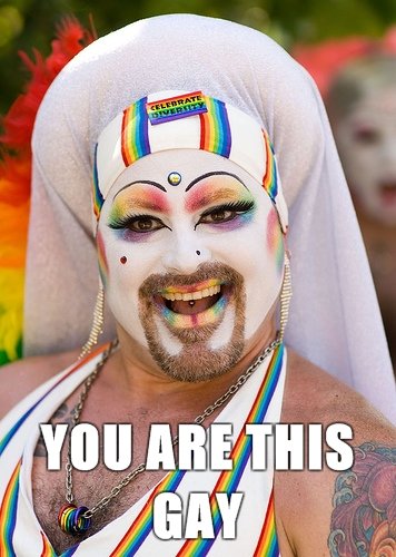 SheepDog tweet media