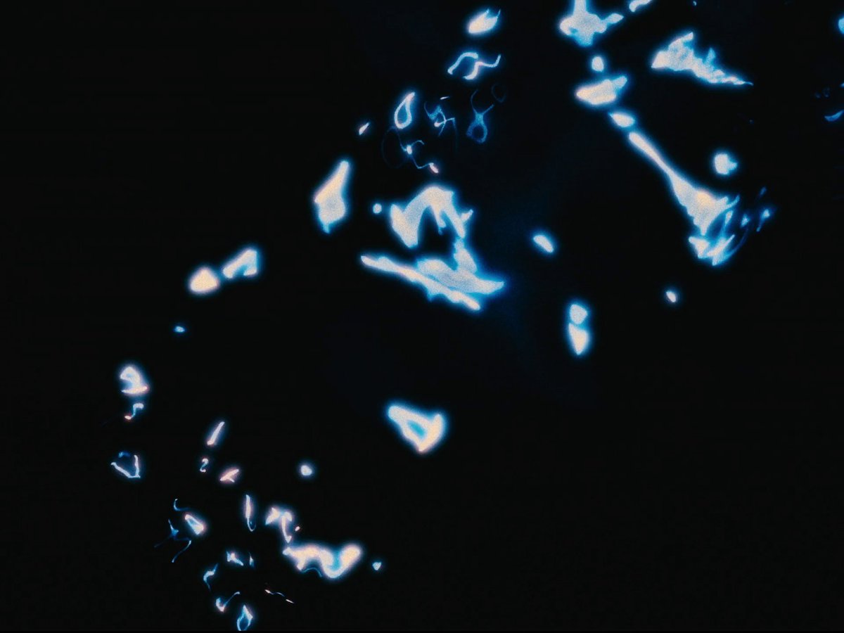 Televisual Word | Hidden-Gem Movie Stills & More tweet media