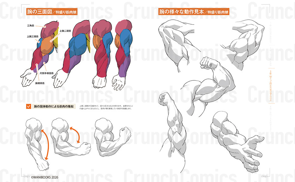 クランチコミックス公式 tweet media