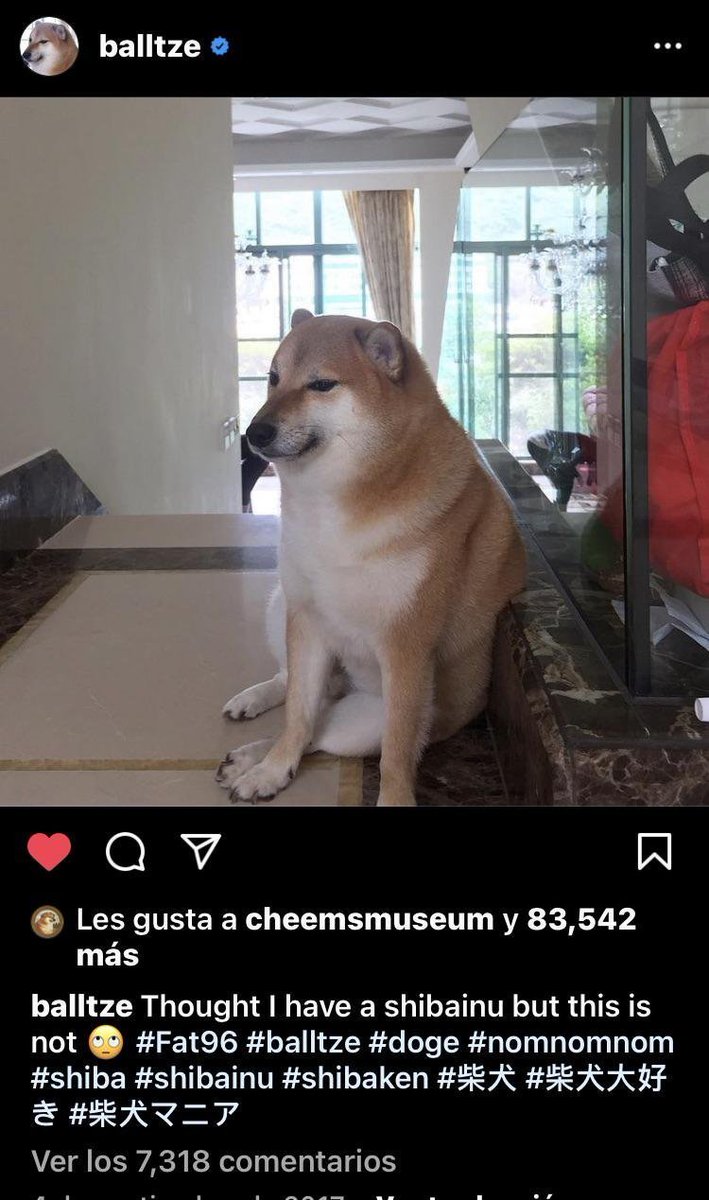 Balltze The Inu tweet media