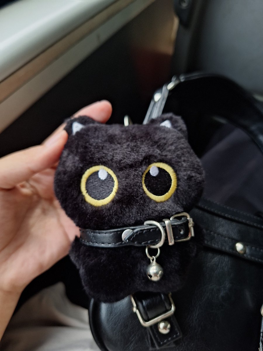 sptrakaio_ tweet media