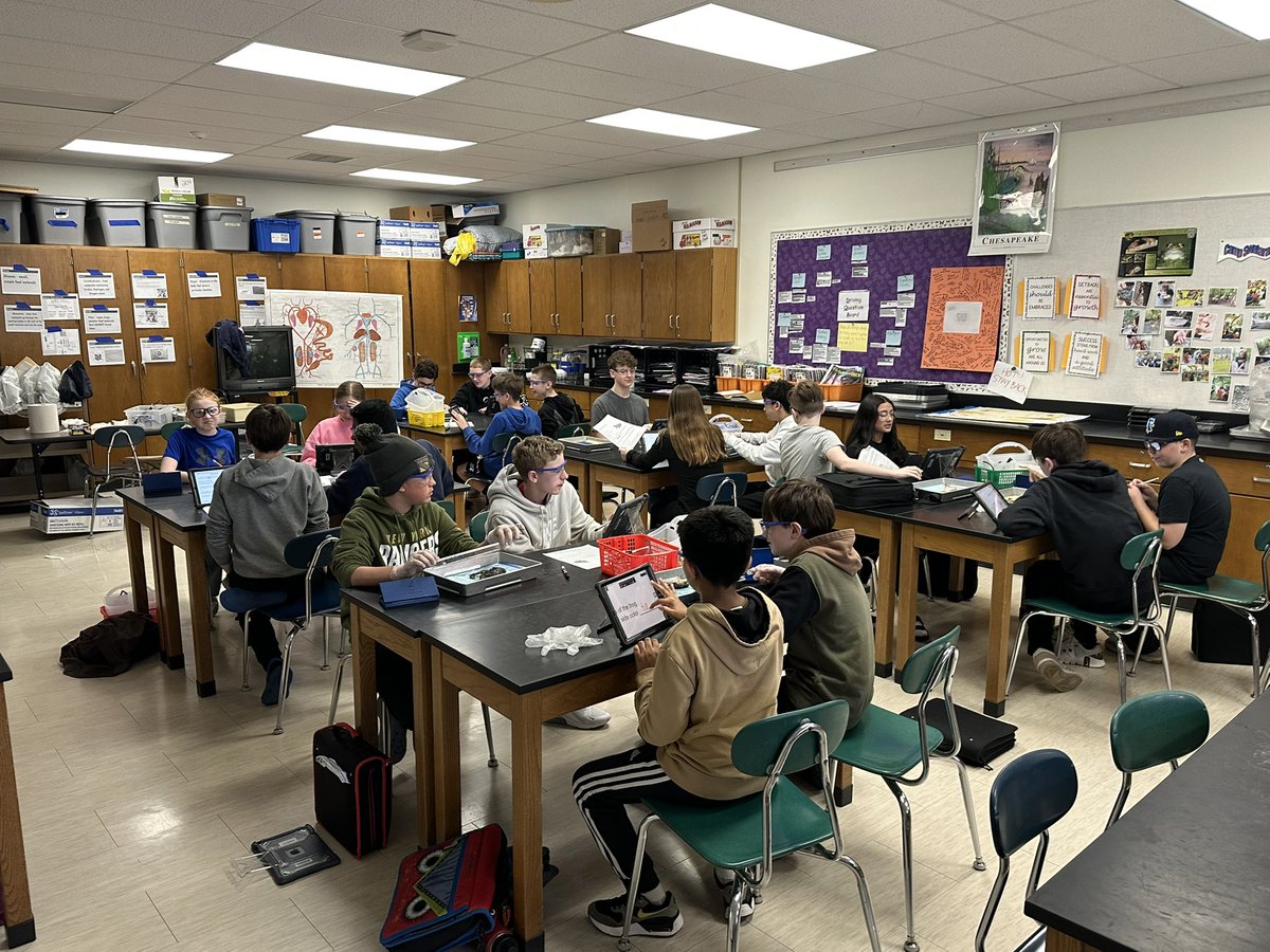 Amanda Deibert tweet media