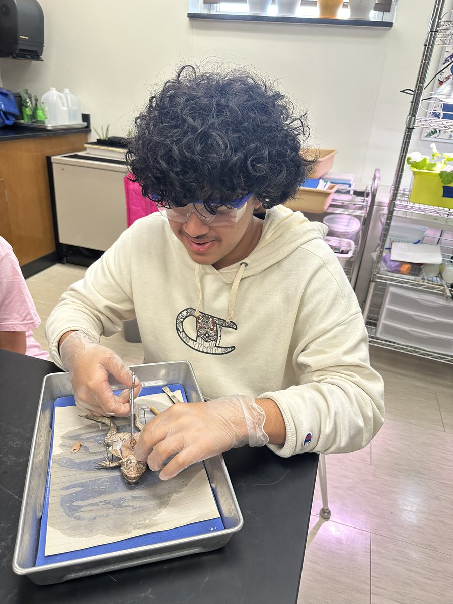 Amanda Deibert tweet media