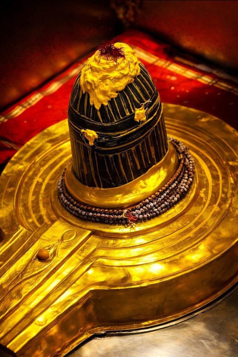 Varnika 🇮🇳 tweet media