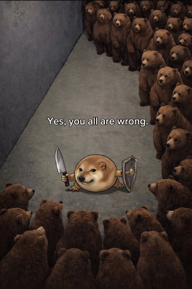 What the dog doing？我的刀盾 tweet media