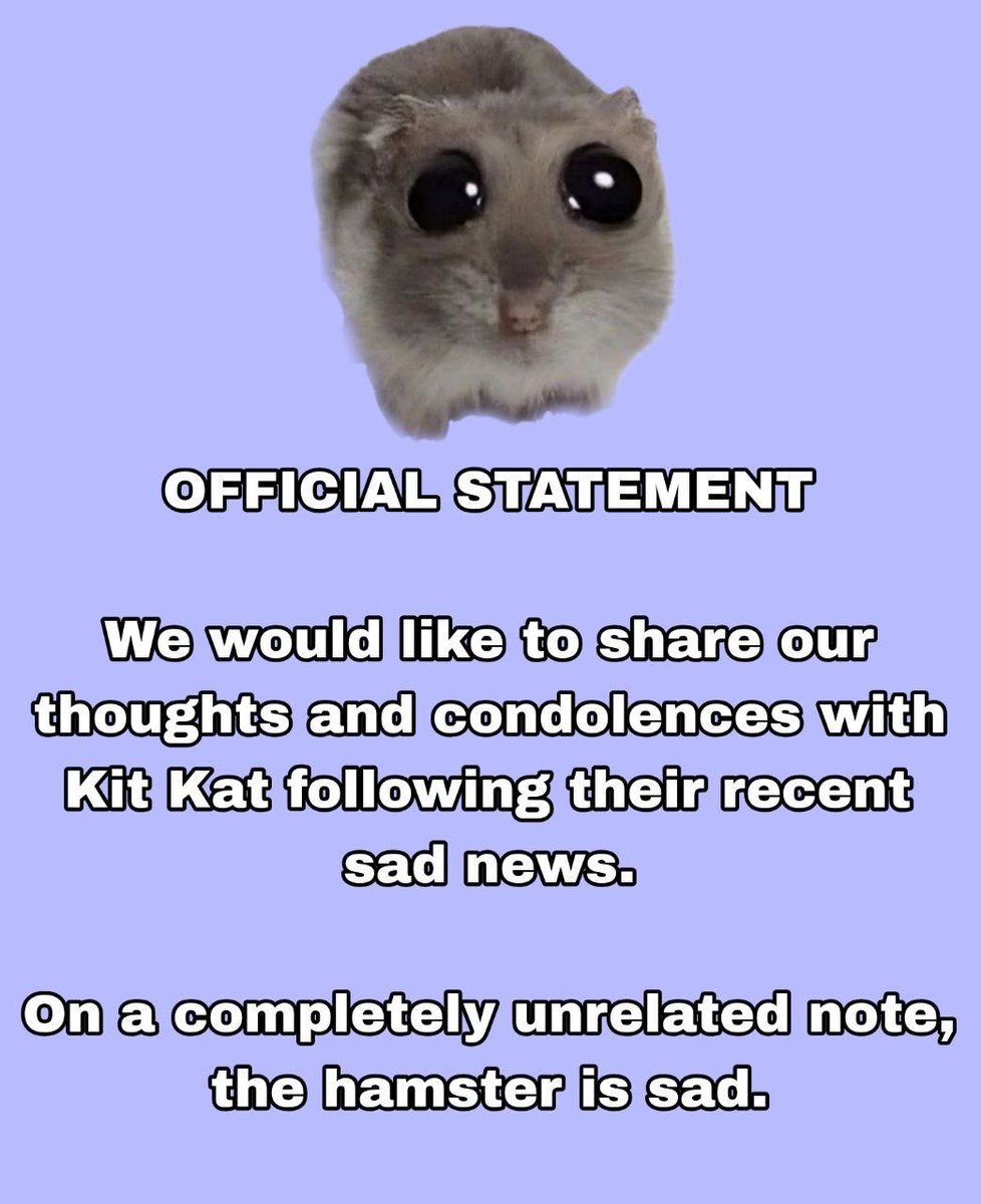 Sad Hamster - $Hammy tweet media