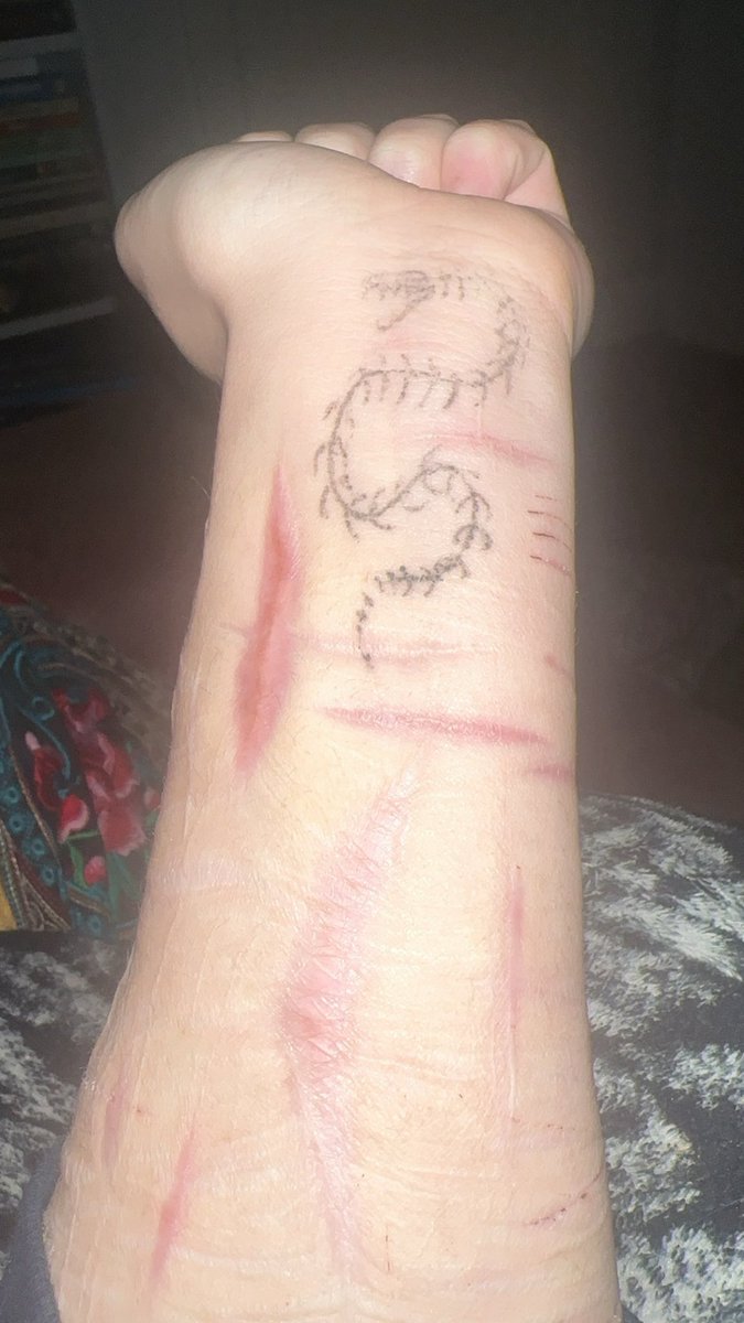 normal person tweet media