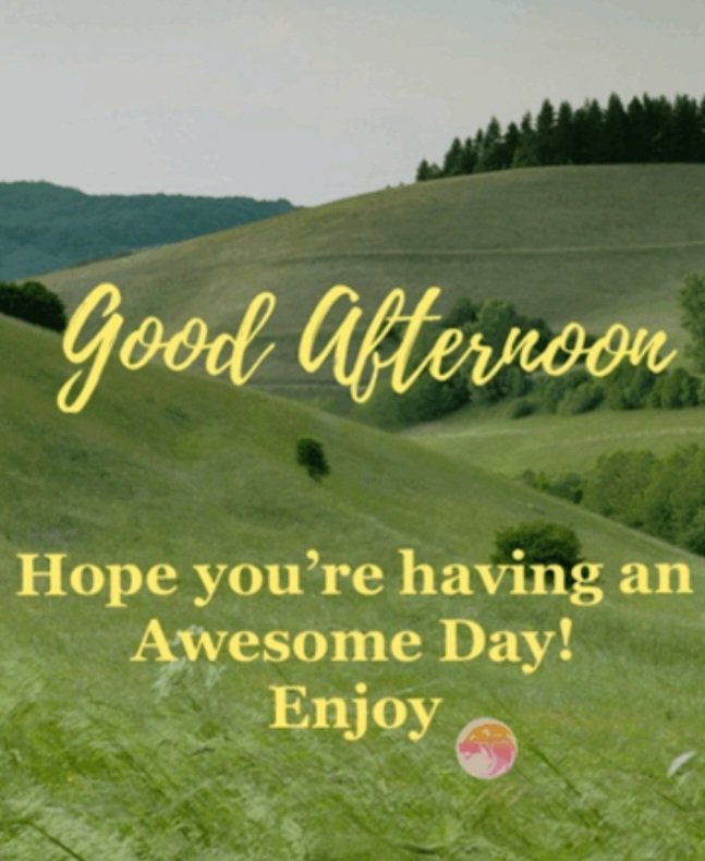 Adeeb8123 tweet media