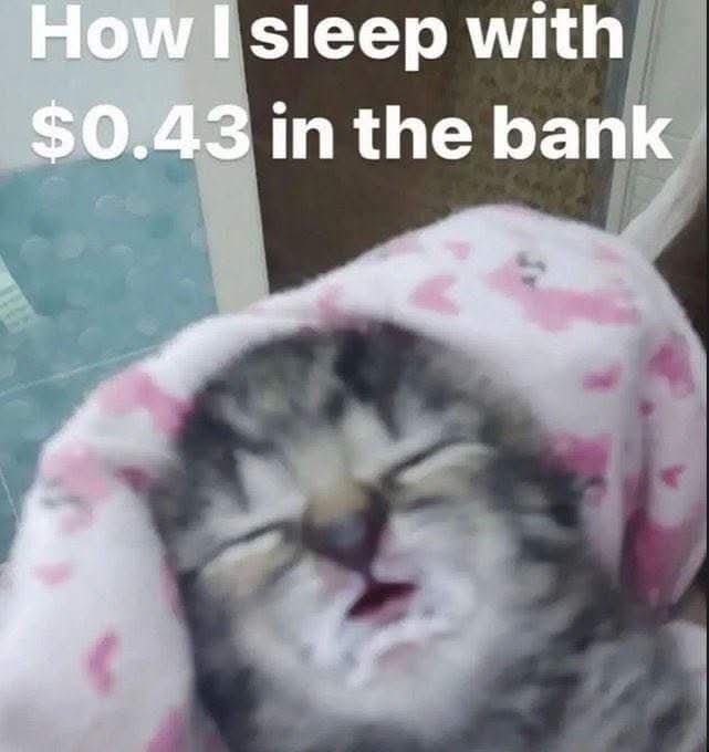 vxclenmiddiff tweet media