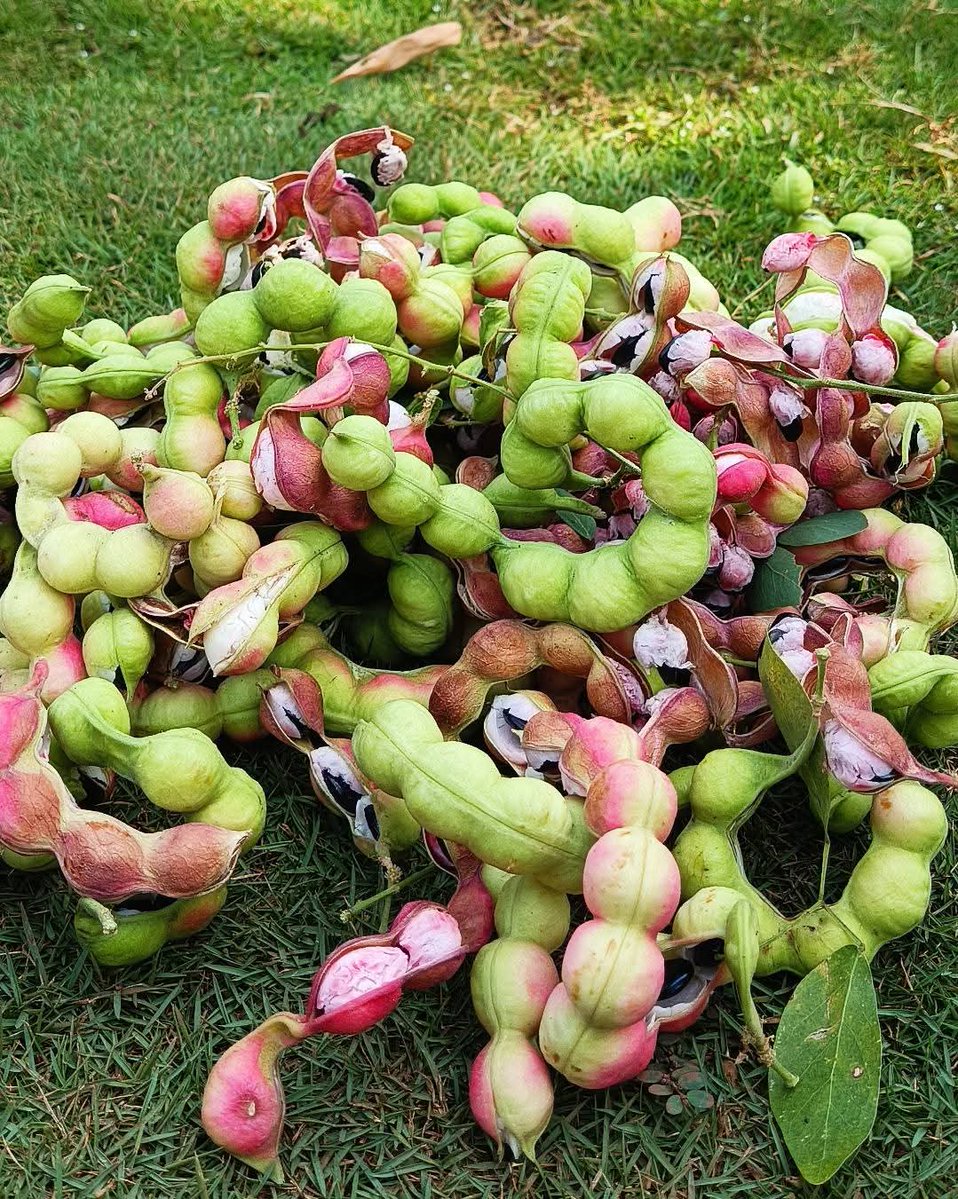 Falguni Chaudhari tweet media