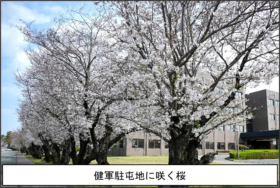 陸上自衛隊西部方面隊 tweet media