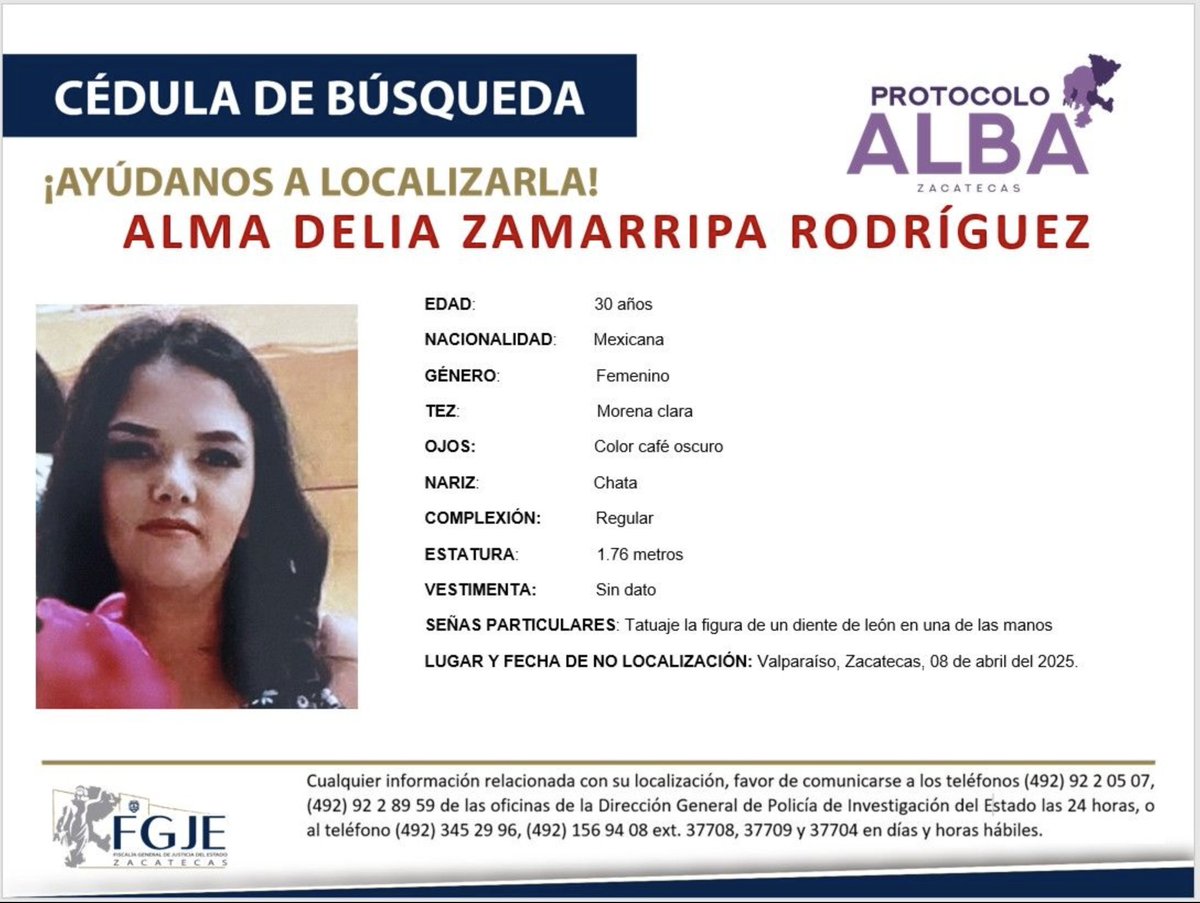 Reporte Mx Noticias tweet media