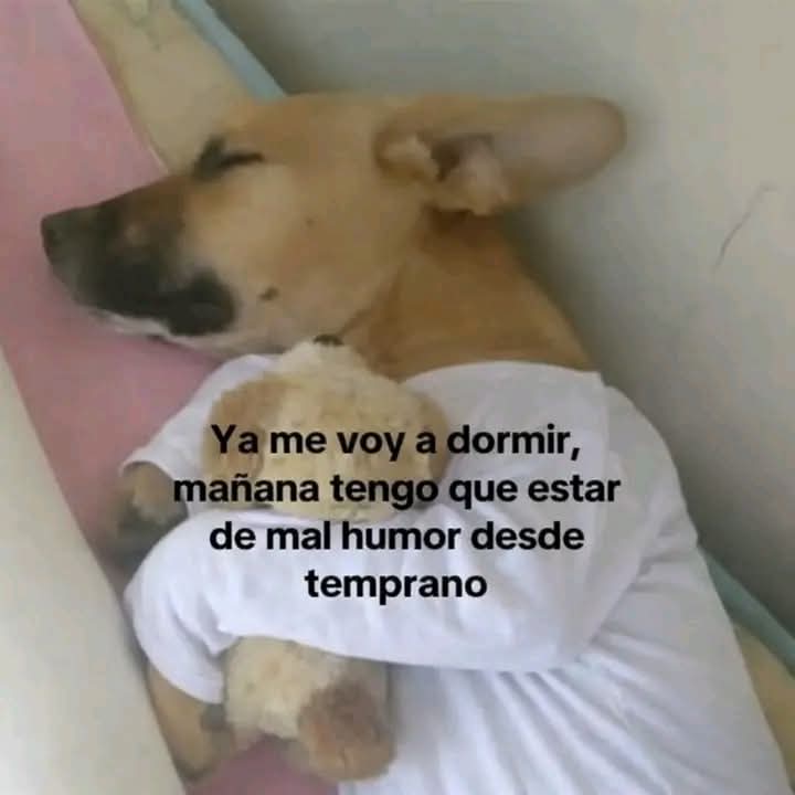 Lonely🥀 tweet media