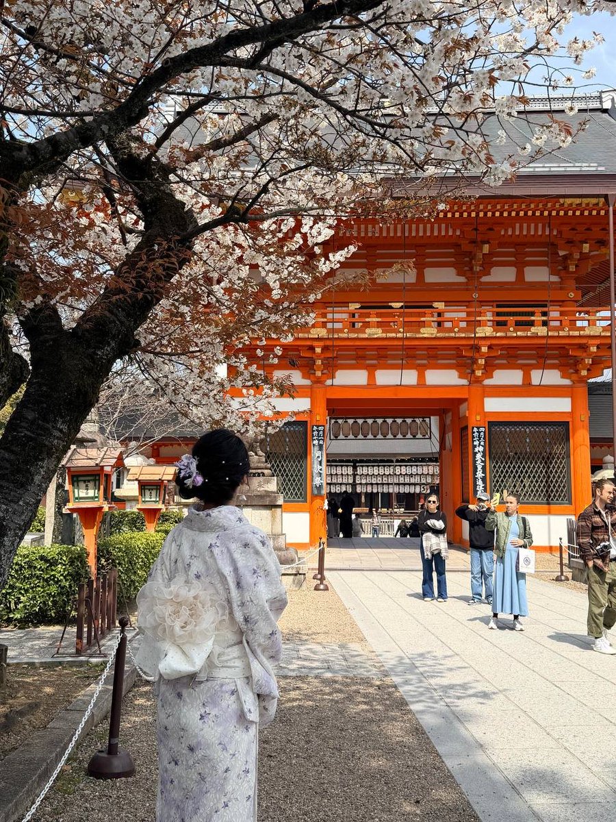 hayashi0509's tweet photo. 人は繰り返し春を愛し,京都の桜を愛します 人总是会反复 https://t.co/dGul8Mc0hS