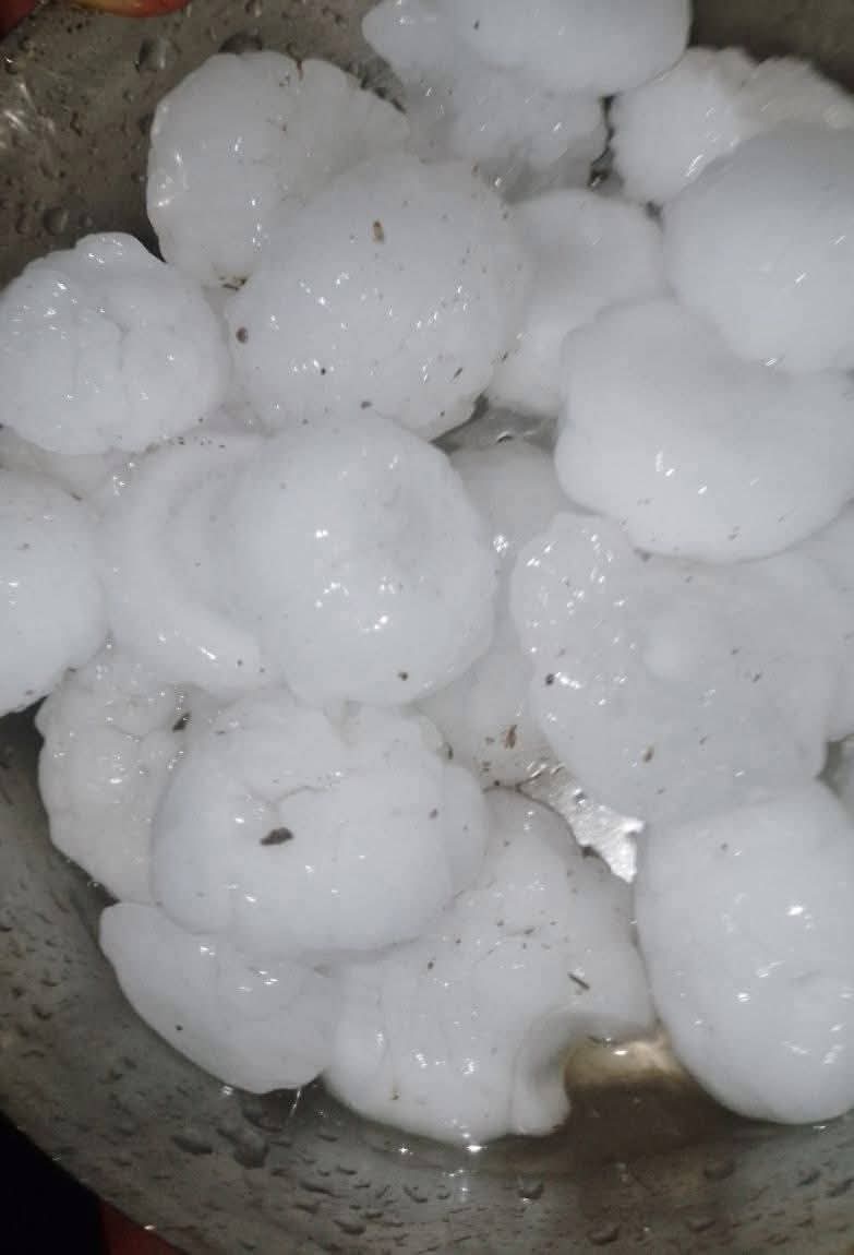 Seerat Fatima tweet media