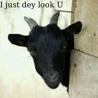 Christie🐝😘✌️ tweet media