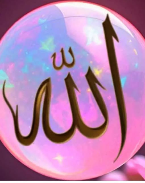 الأديب/جمال بركات/التسامح يجعل العالم جميل الملامح tweet media