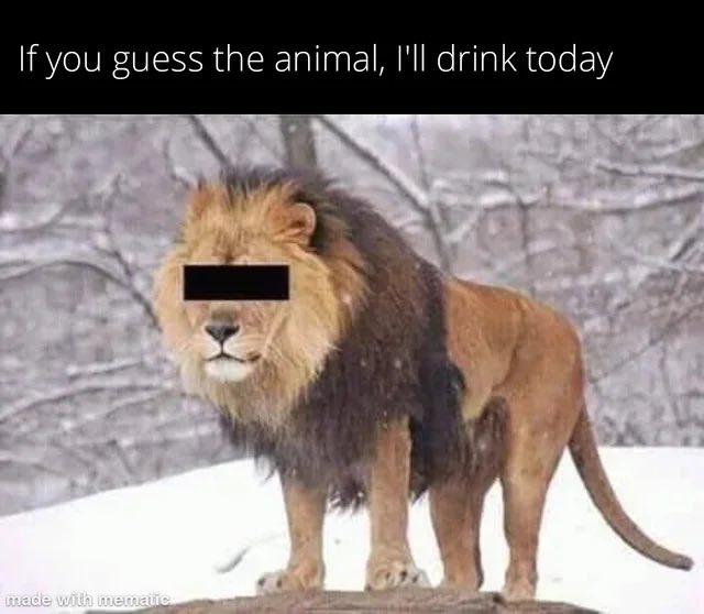 Quinnafred tweet media