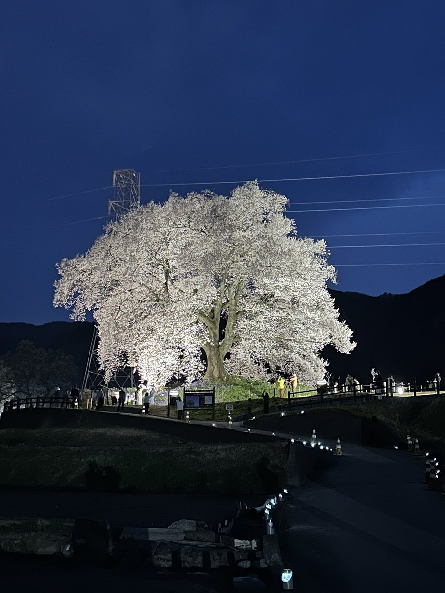 タクシー運ちゃん北多摩エリア tweet media