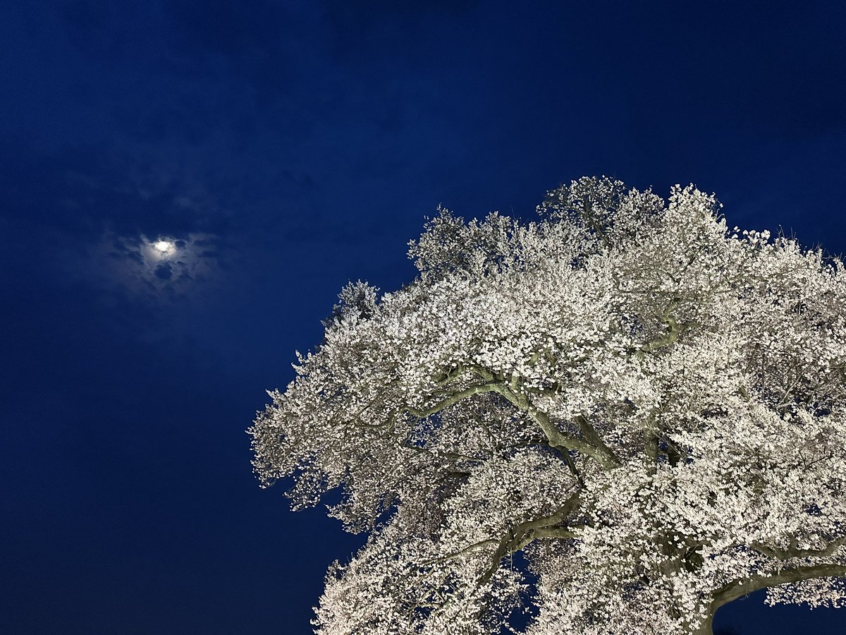 タクシー運ちゃん北多摩エリア tweet media