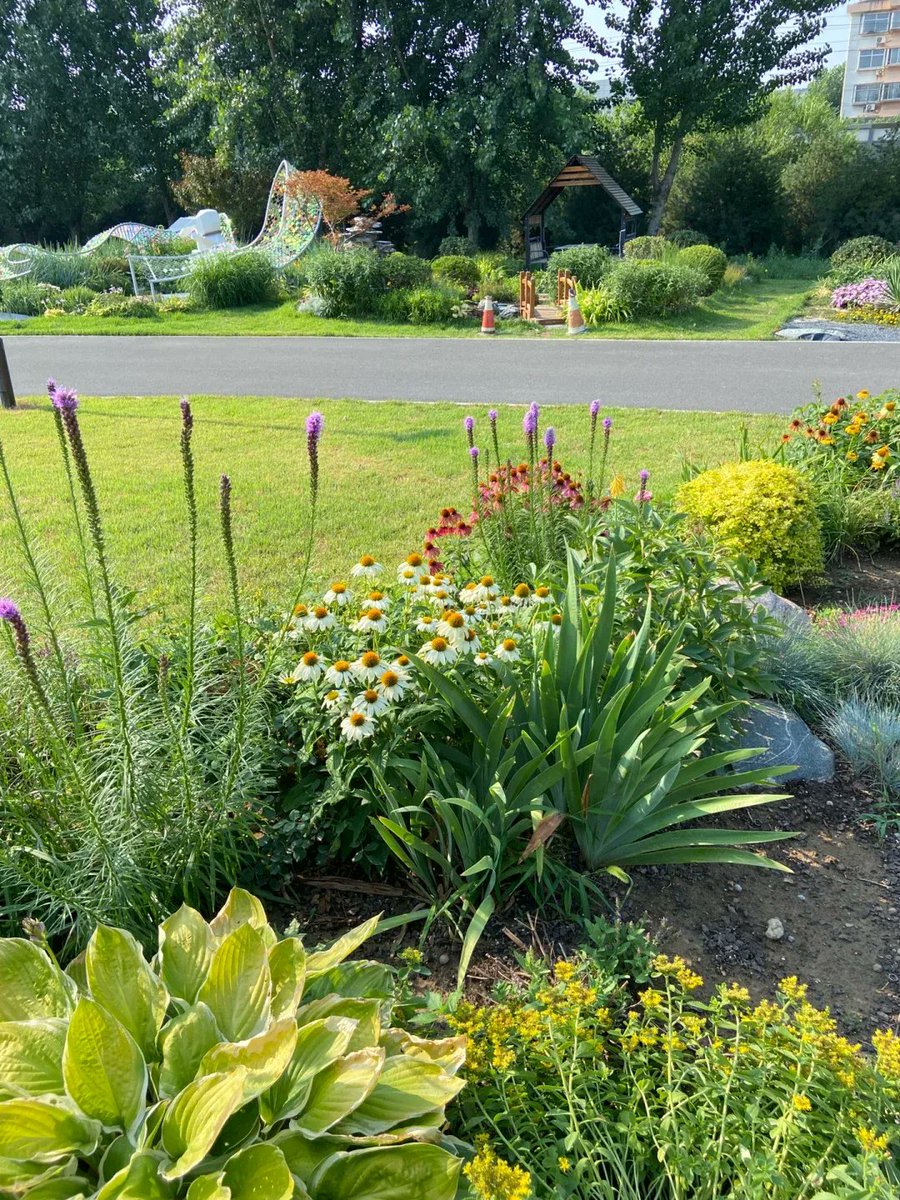 Rustam Chopdar tweet media