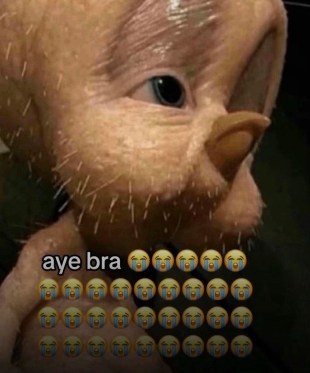 Blaztgotcake tweet media