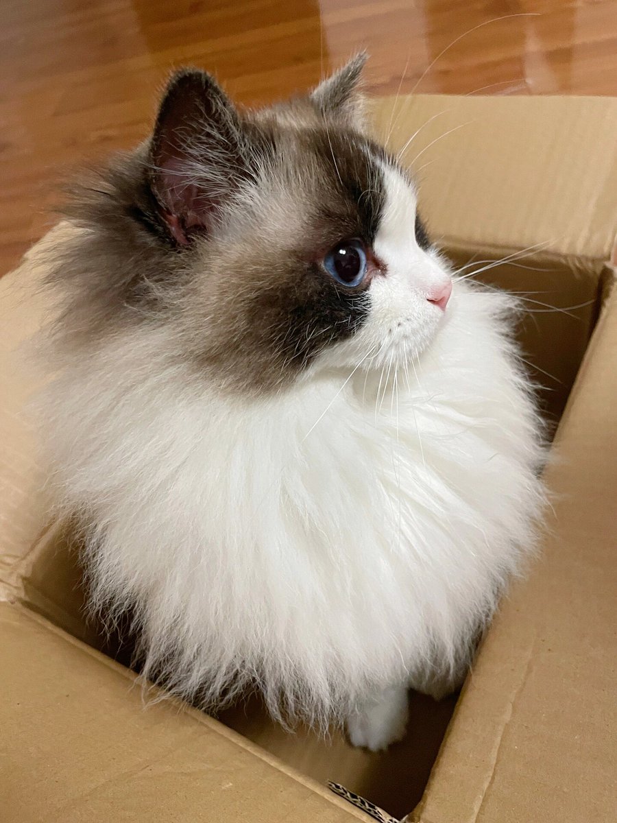 jihyun choi tweet media