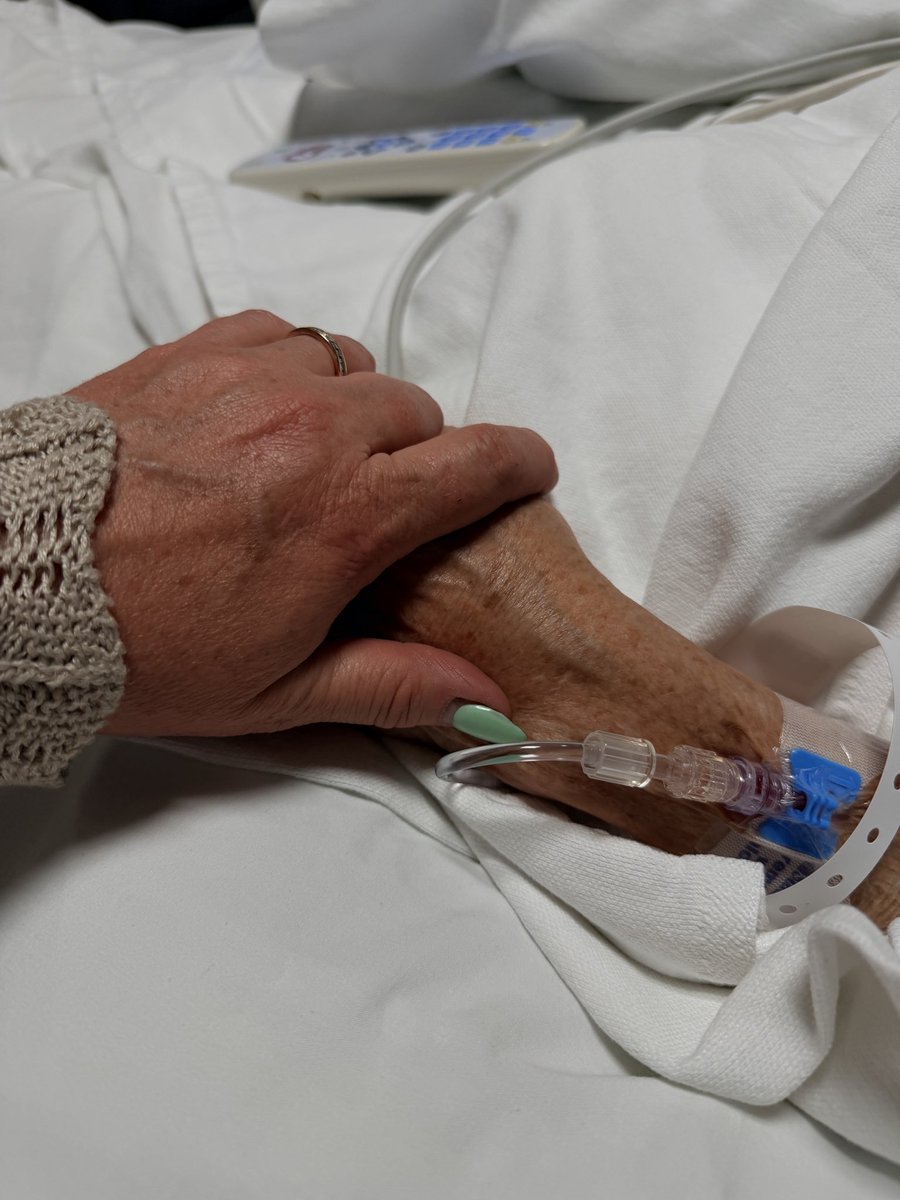 Hollyonthefarm tweet media