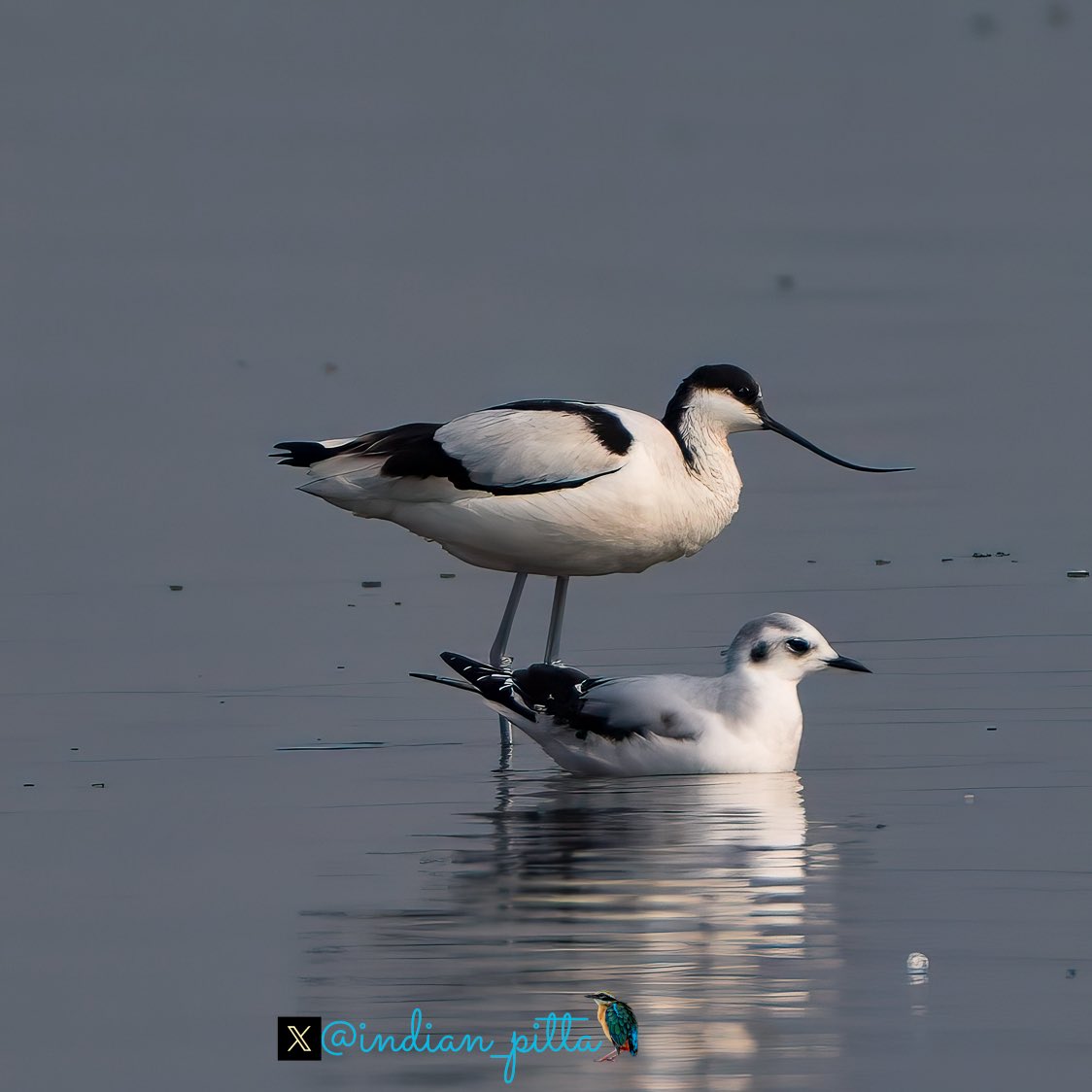 Mohit Mehta tweet media