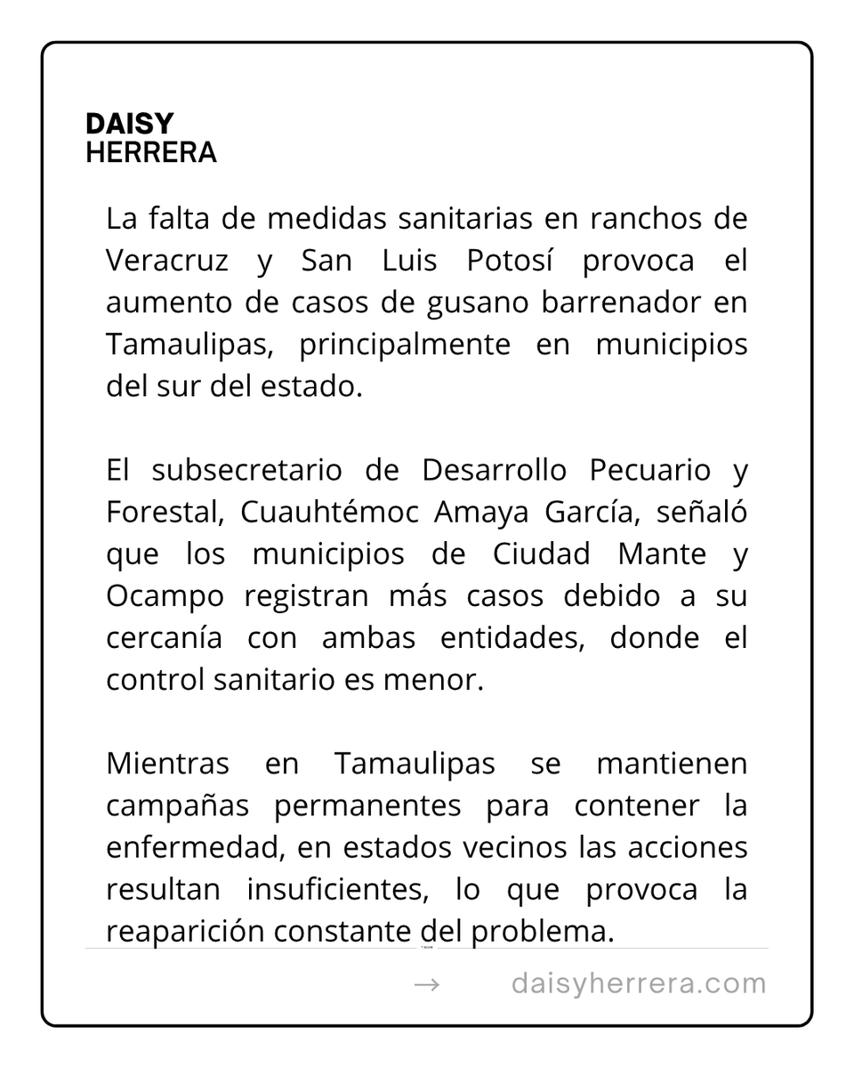 DaisyHerrera.com tweet media