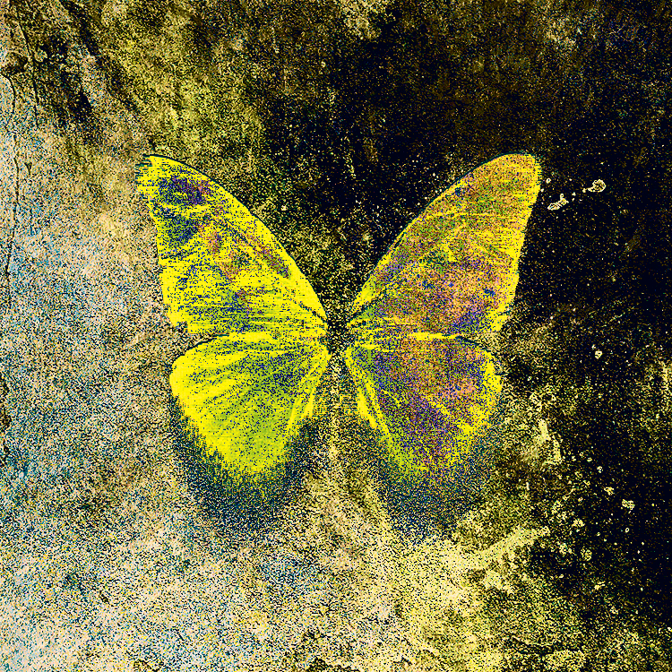 NINFA BOT tweet media