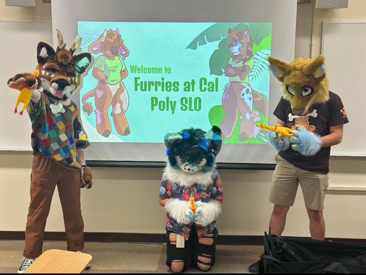 Bullet Woofs 🦴 tweet media