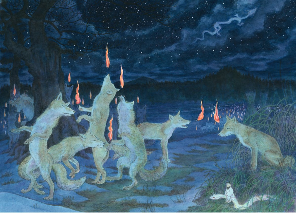 玉川麻衣 tweet media