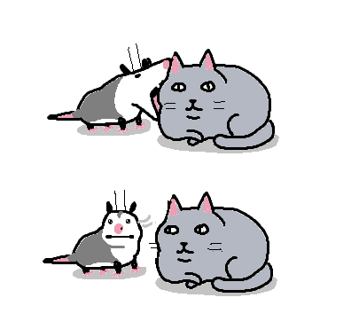 ᘛ⁐̤ᕐᐷ tweet media