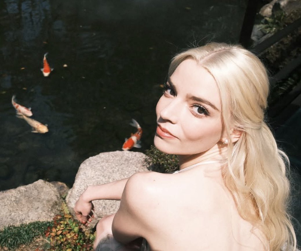 caseyscooke's tweet image. 