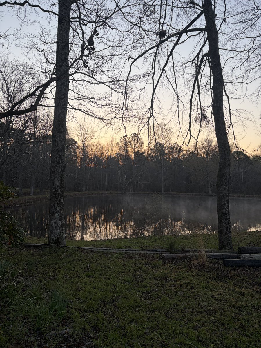 bibia is seeing bts ♡ tweet media