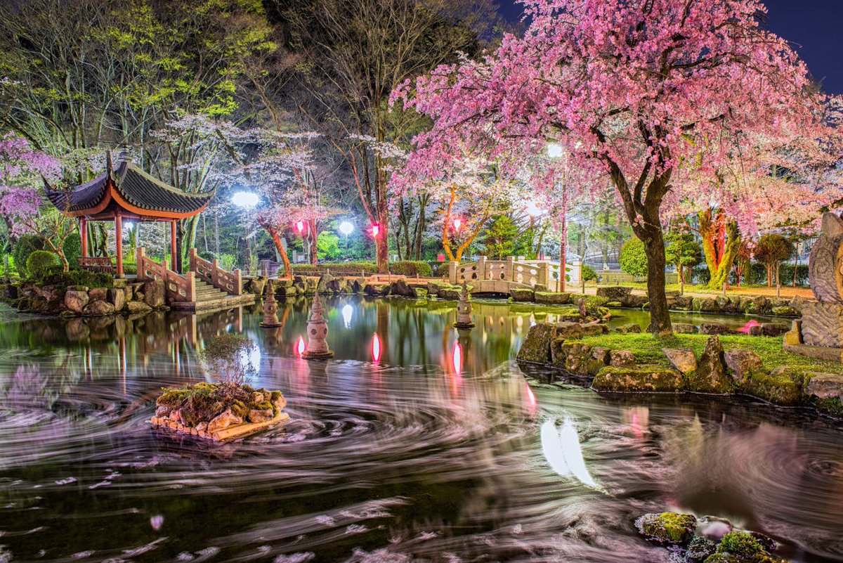 星空音夢 tweet media