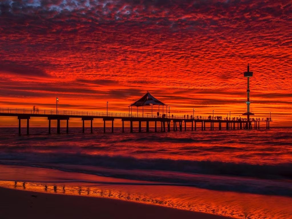 Teflo⚡️🇦🇺 tweet media