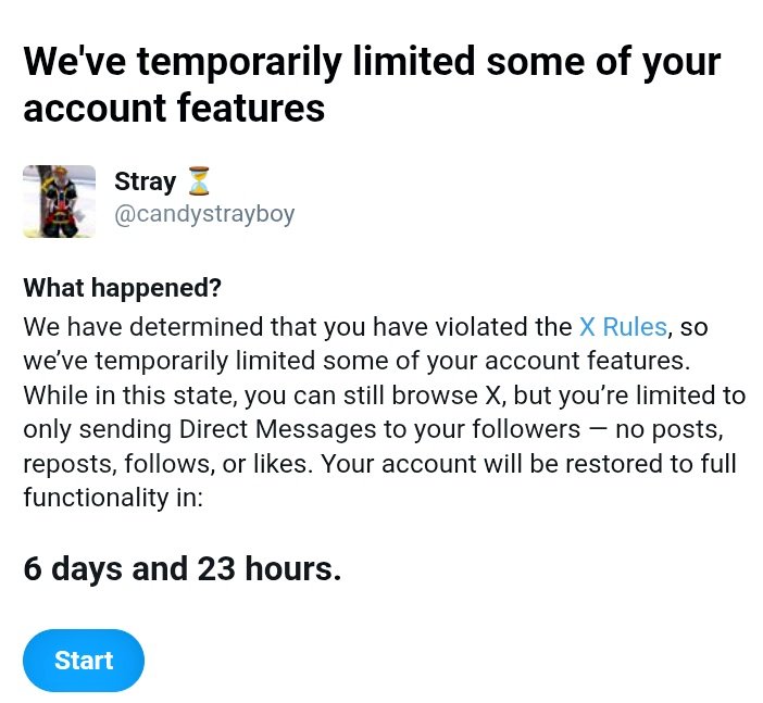 Stray ⏳ tweet media