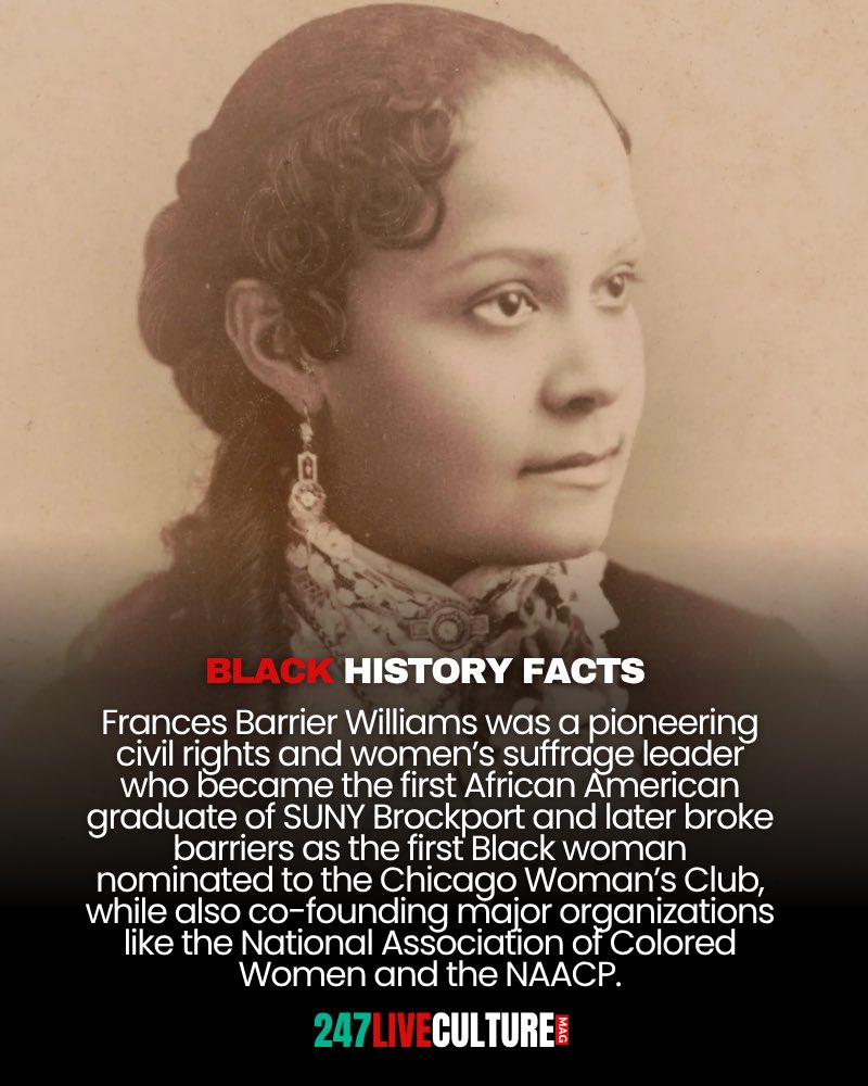 247 Live Culture tweet media