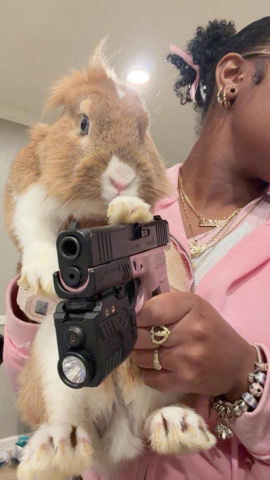 mon cheř💎 tweet media