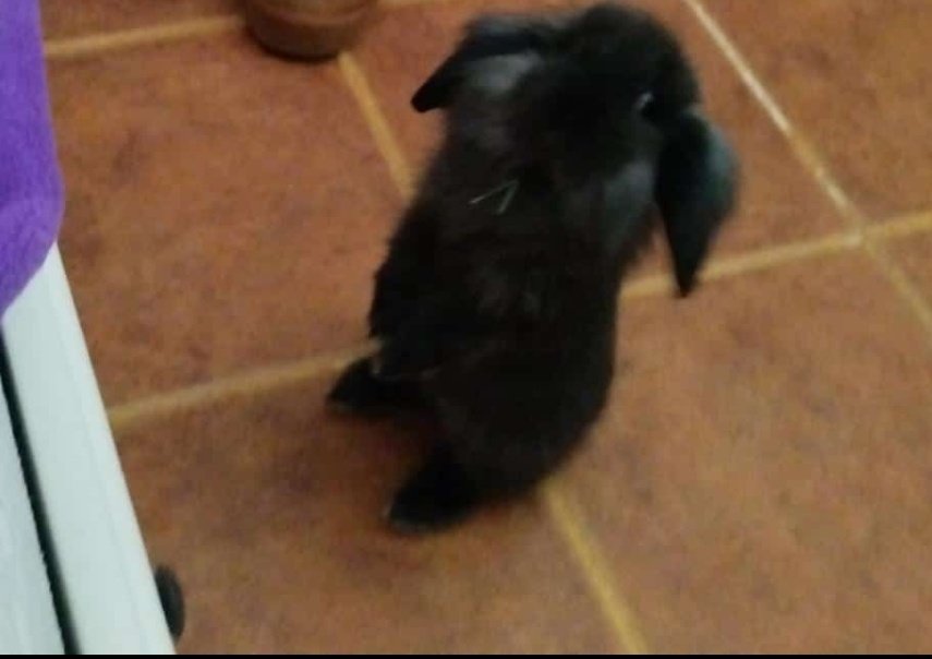 🇪🇸 Lev / Leo ⚣ 🫀⋆ ࣪. tweet media