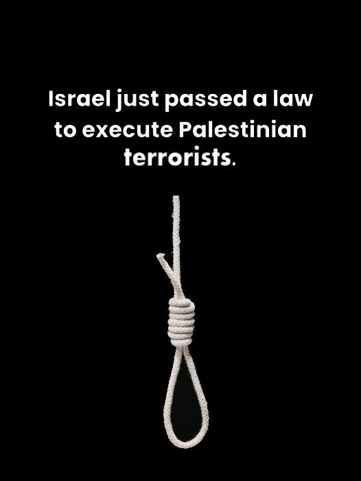 The Maven tweet media