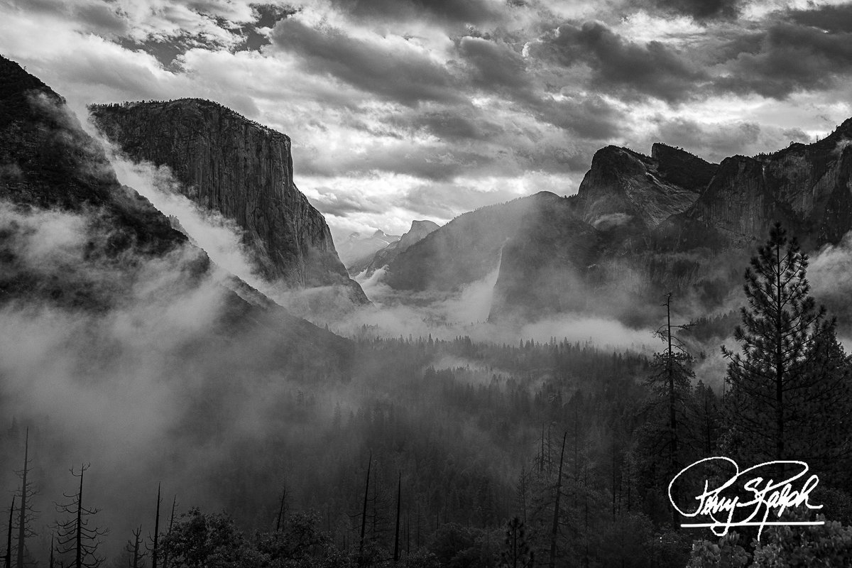 perryralph's tweet image. QP
Happy #MonochromeMonday 
Let's See your favorite B&amp;amp;W Shots

"Fog Hanging Over Yosemite Valley"

#Fog #YosemiteNationalPark #TunnelView #ElCapitan #Photography