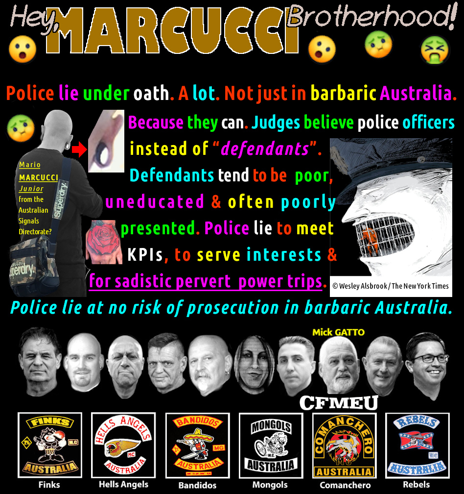 Katalin Kish: MARCUCCI/Mick GATTO CrimeTechTestToy tweet media