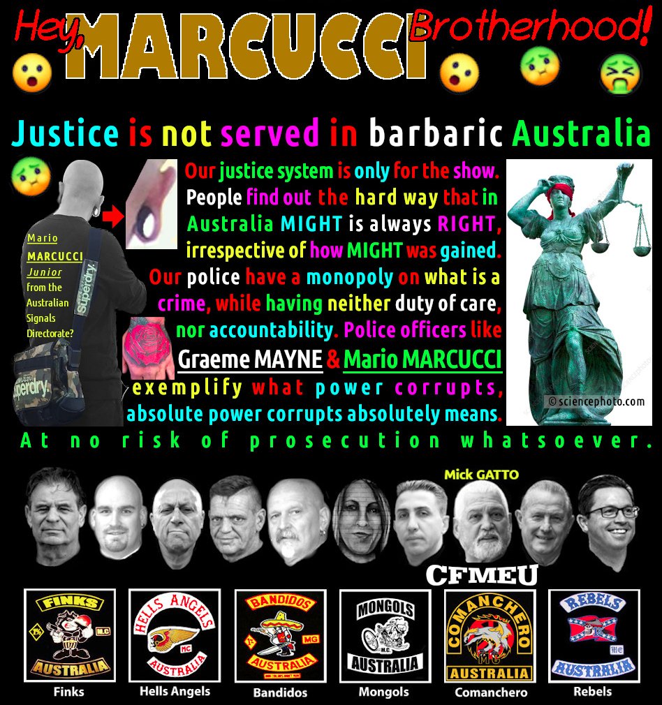 Katalin Kish: MARCUCCI/Mick GATTO CrimeTechTestToy tweet media