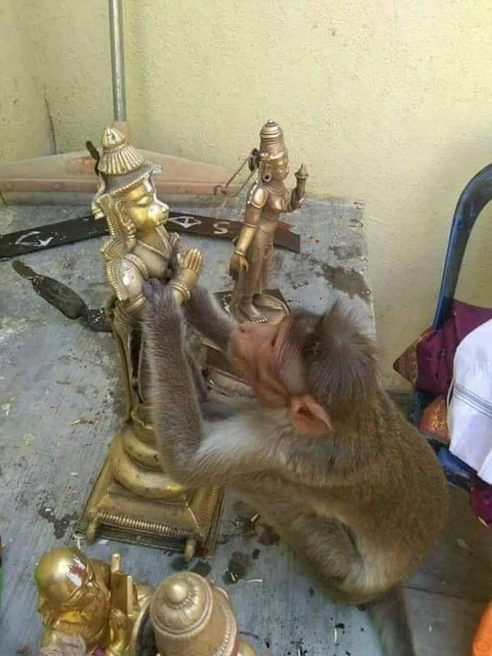 Anu Satheesh 🇮🇳🚩 tweet media