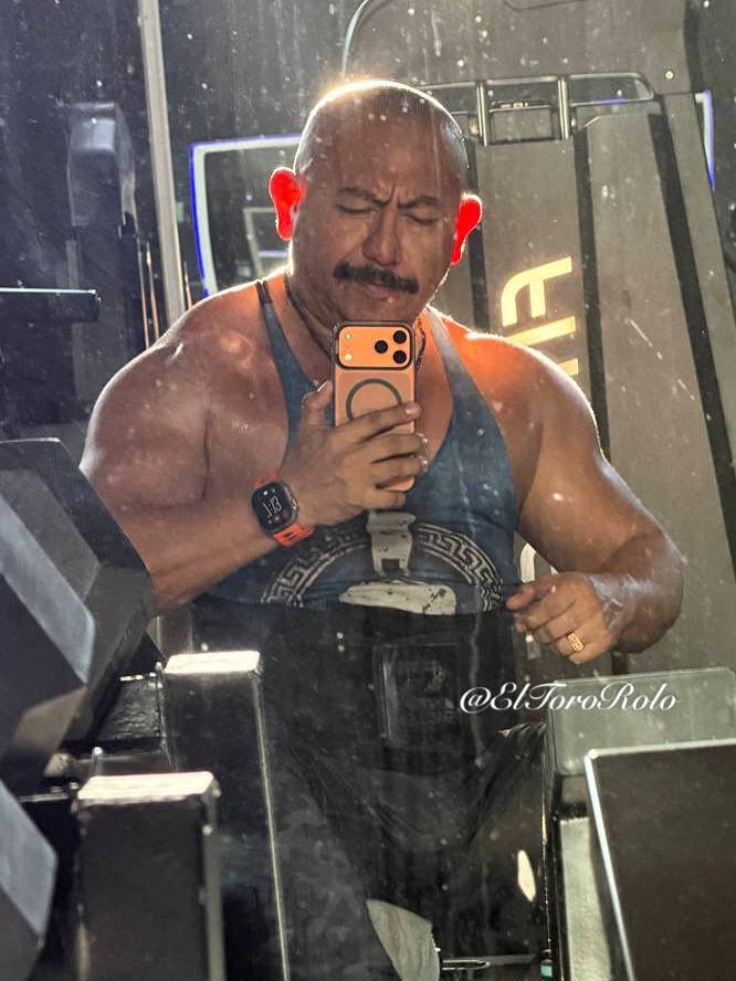 El Toro Rolo tweet media