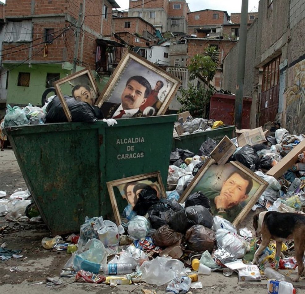 Jose Miguel tweet media